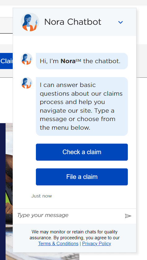 Nora Chatbot screenshot